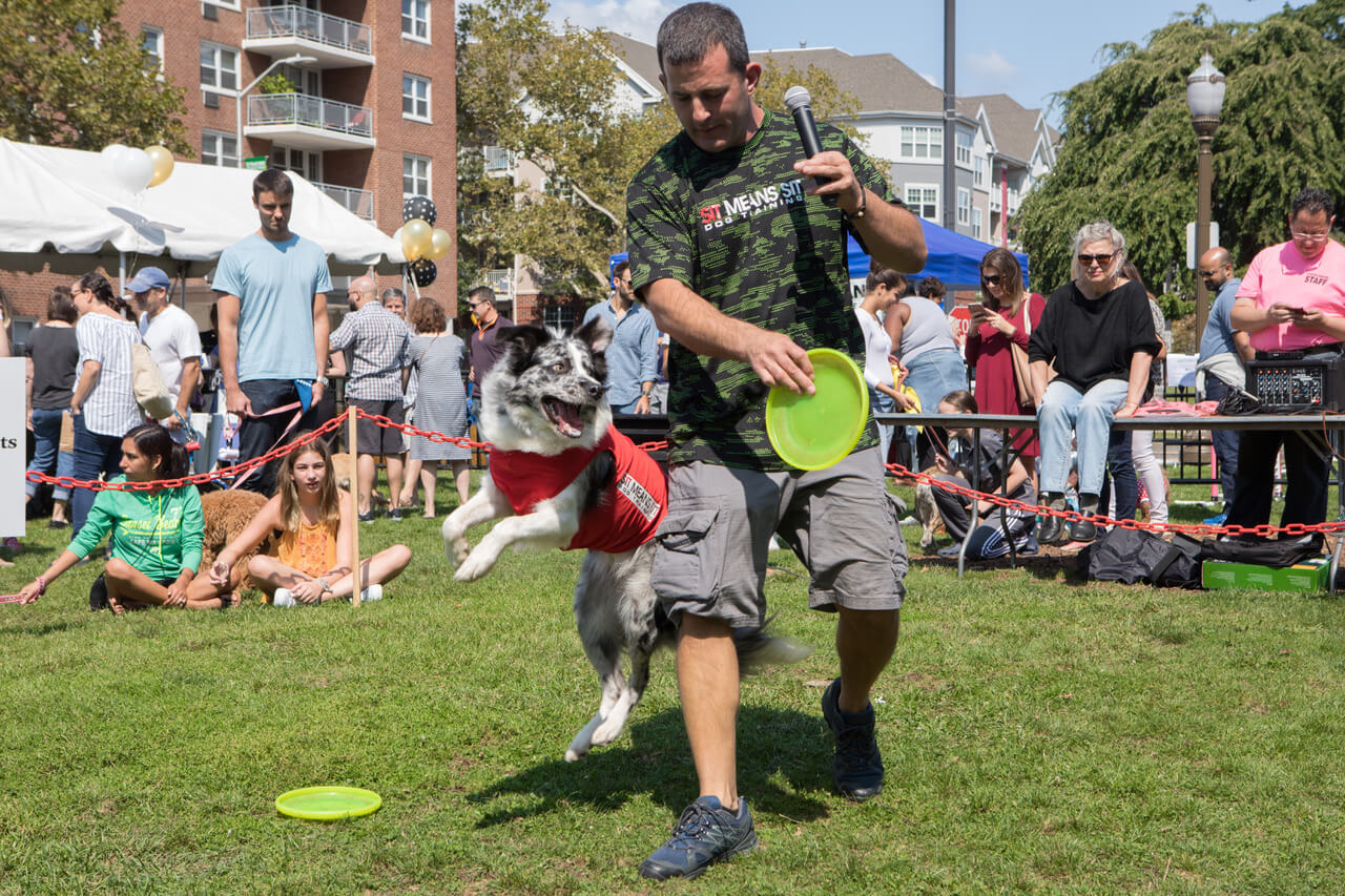 Bark in the Park new